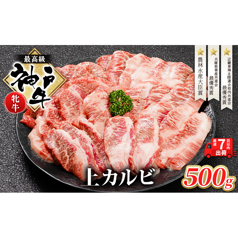 【最短7日以内発送】 神戸ビーフ 神戸牛 牝 上カルビ 焼肉 500g 川岸畜産 冷凍 肉 牛肉 すぐ届く お肉 和牛 食材 グルメ ブランド牛 日本産 国産 夕飯 晩御飯 夜ごはん 兵庫県加西市20000肉牛肉