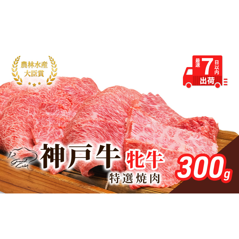 【最短7日以内発送】 神戸ビーフ 神戸牛 牝 特選焼肉 300g 川岸畜産 冷凍 肉 牛肉 すぐ届く お肉 和牛 食材 グルメ ブランド牛 日本産 国産 夕飯 晩御飯 夜ごはん 兵庫県加西市20000肉牛肉
