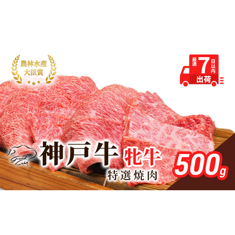 【最短7日以内発送】 神戸ビーフ 神戸牛 牝 特選焼肉 500g 川岸畜産 冷凍 肉 牛肉 すぐ届く お肉 和牛 食材 グルメ ブランド牛 日本産 国産 夕飯 晩御飯 夜ごはん 兵庫県加西市30000肉牛肉