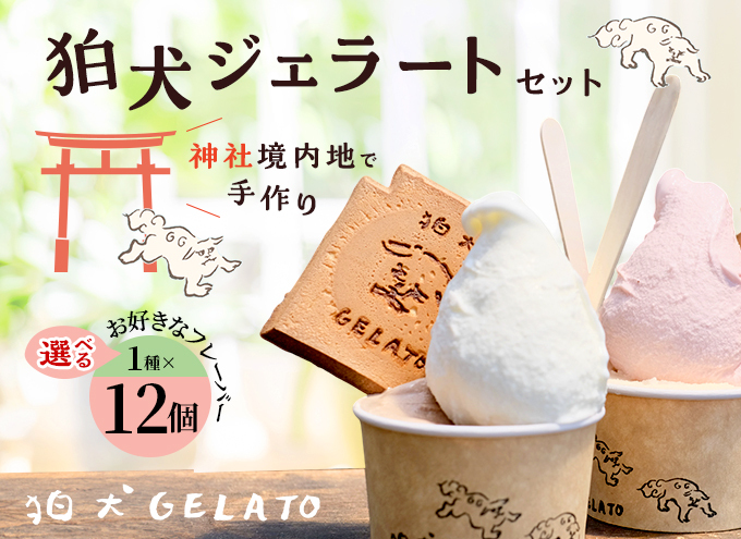 WF[g uWF[gv12Zbg 7ނI [ ACX ACXN[   Mtg v[g j ]Ɍs20000َqEXC[c