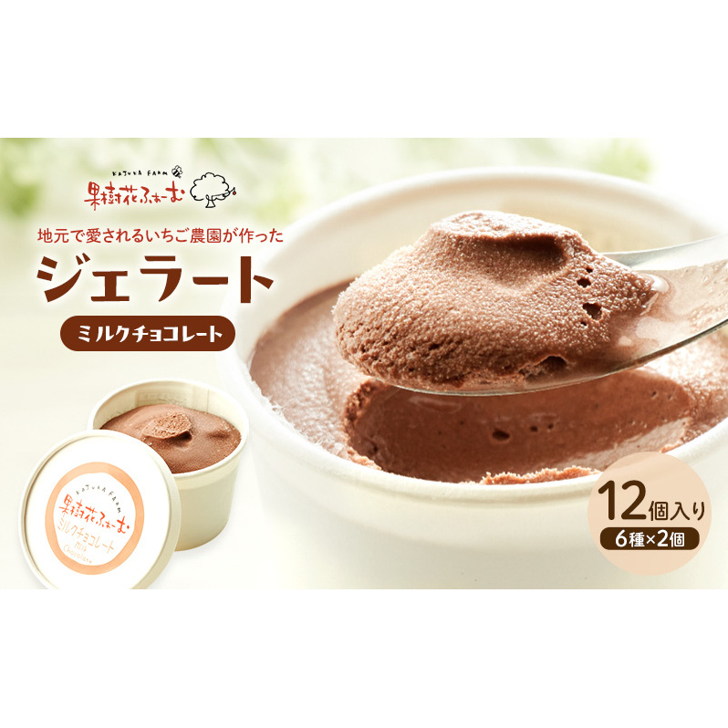 ジェラート チョコ 12個 アイス アイスクリーム スイーツ お菓子 菓子 おやつ 兵庫県 加西市 兵庫県加西市23000菓子・スイーツアイス・ジェラート