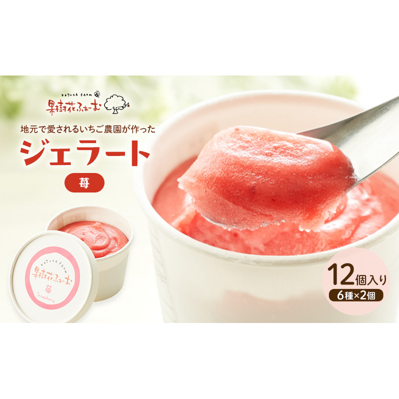 ジェラート いちご 12個 アイス アイスクリーム スイーツ お菓子 菓子 おやつ ストロベリー イチゴ 苺 兵庫県 加西市 兵庫県加西市23000菓子・スイーツアイス・ジェラート