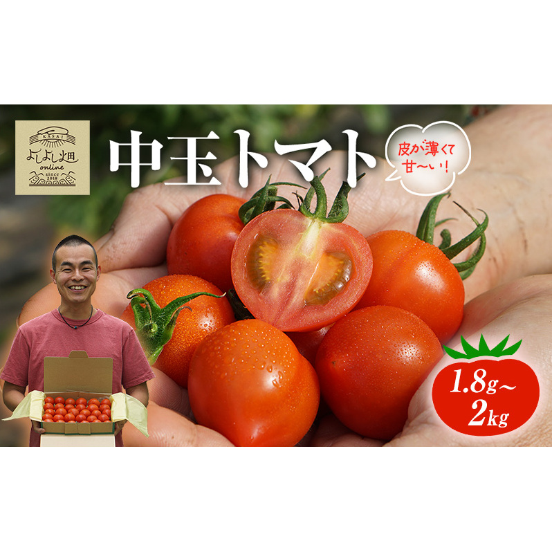 よしよし畑のあま〜い トマト ( 中玉トマト ) 1.8kg 〜 2kg 程度 新鮮 産地直送  とまと おいしい おすすめ ギフト お取り寄せ兵庫県加西市21000野菜・きのこトマト