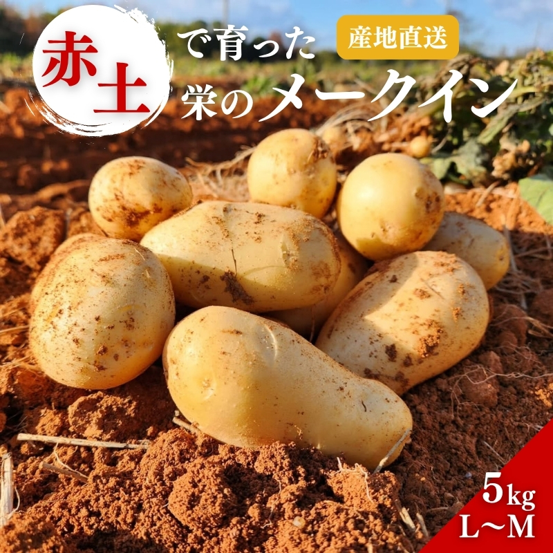 じゃがいも メークイン 5kg 産地直送 野菜 ジャガイモ 芋 赤土 加西市 栄町兵庫県加西市11000野菜・きのこじゃがいも・イモ類