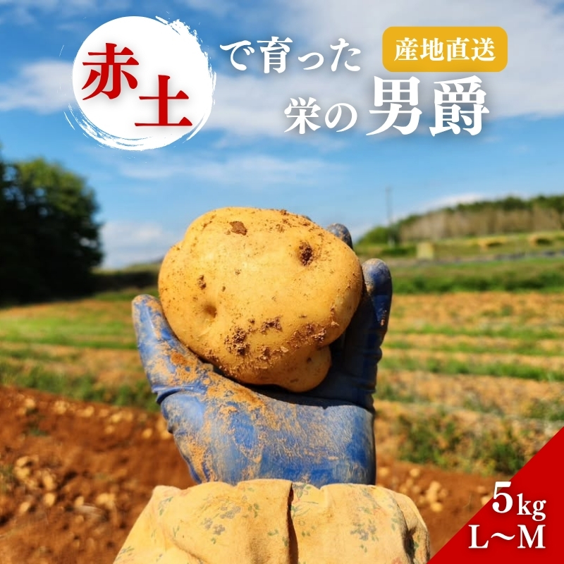 じゃがいも 男爵 5kg 産地直送 野菜 ジャガイモ 芋 赤土 加西市 栄町兵庫県加西市11000野菜・きのこじゃがいも・イモ類