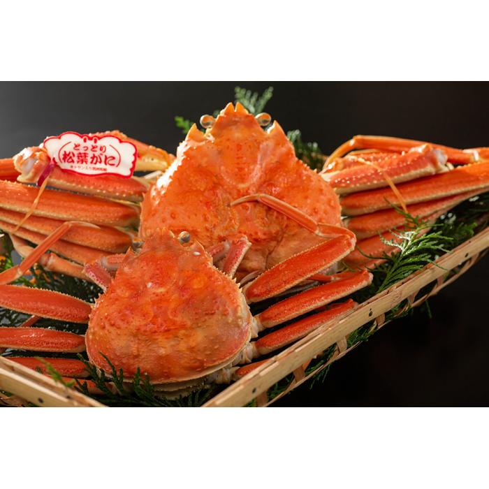 鳥取県産 ボイル夫婦がに【中村商店】鳥取県鳥取市43000魚介・海産物カニ