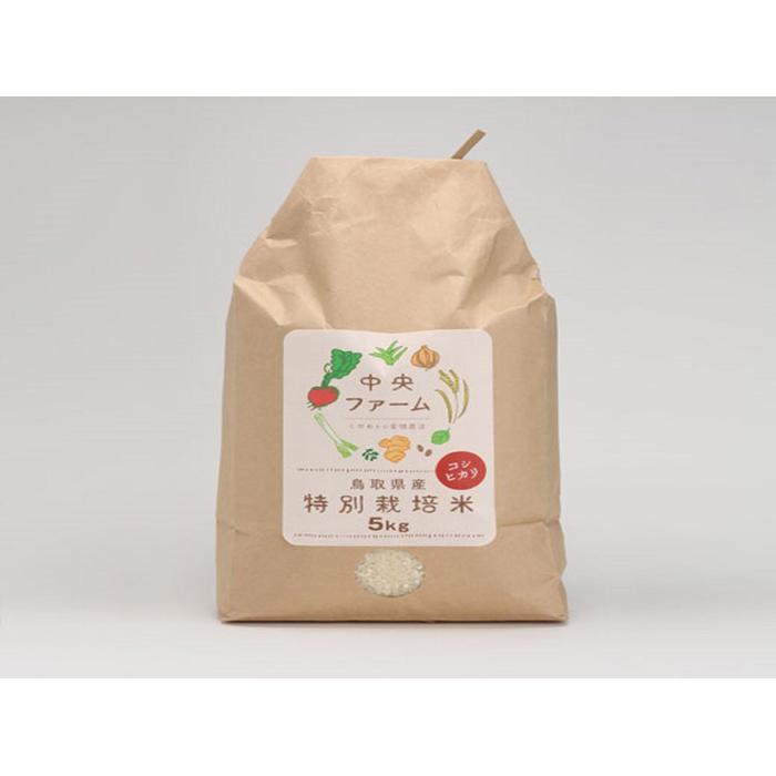 【先行予約】鳥取県産特別栽培米こしひかり ( 5kg )【2025年9月上旬稲刈り後出荷】鳥取県鳥取市12000米・パン白米