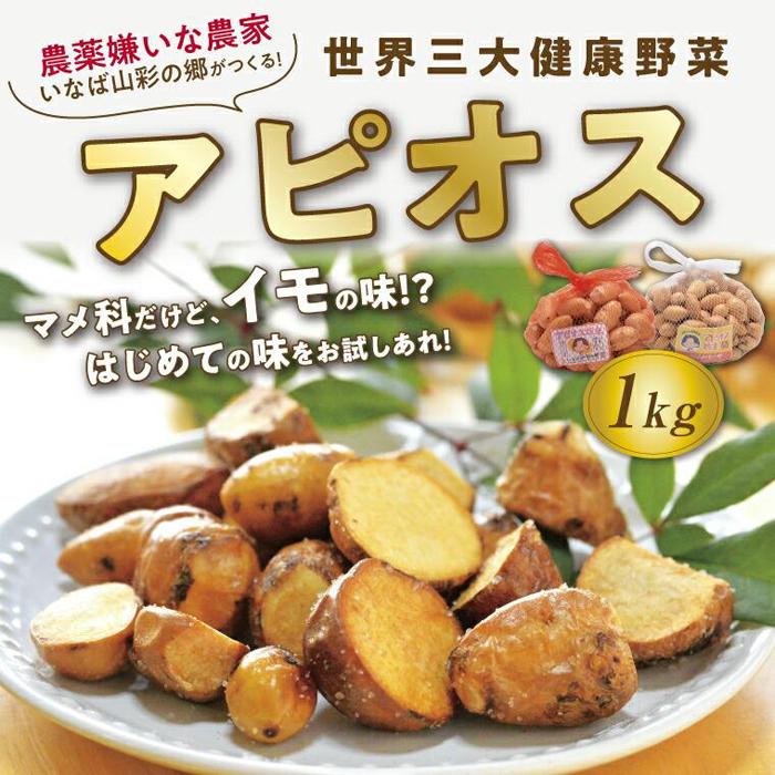 EO匒N AsIX 1L挧s10000؁Ê卪EjWEؗ