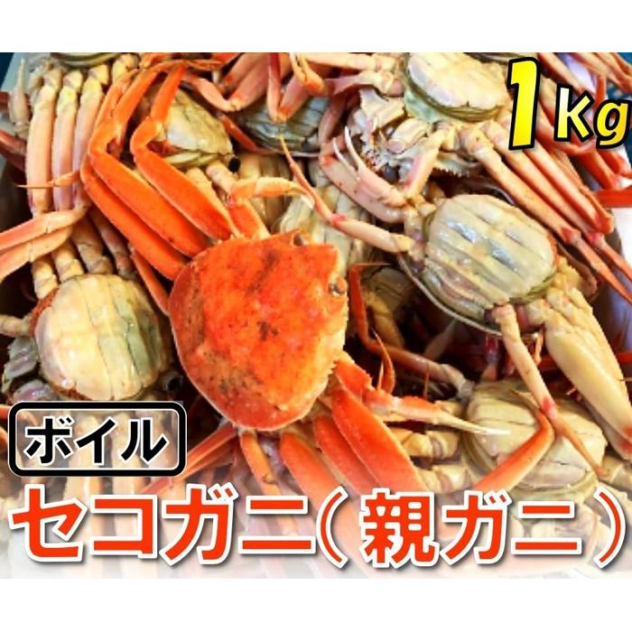 【魚倉】ボイルお任せセコガニ 1kgセット鳥取県鳥取市27000魚介・海産物カニ
