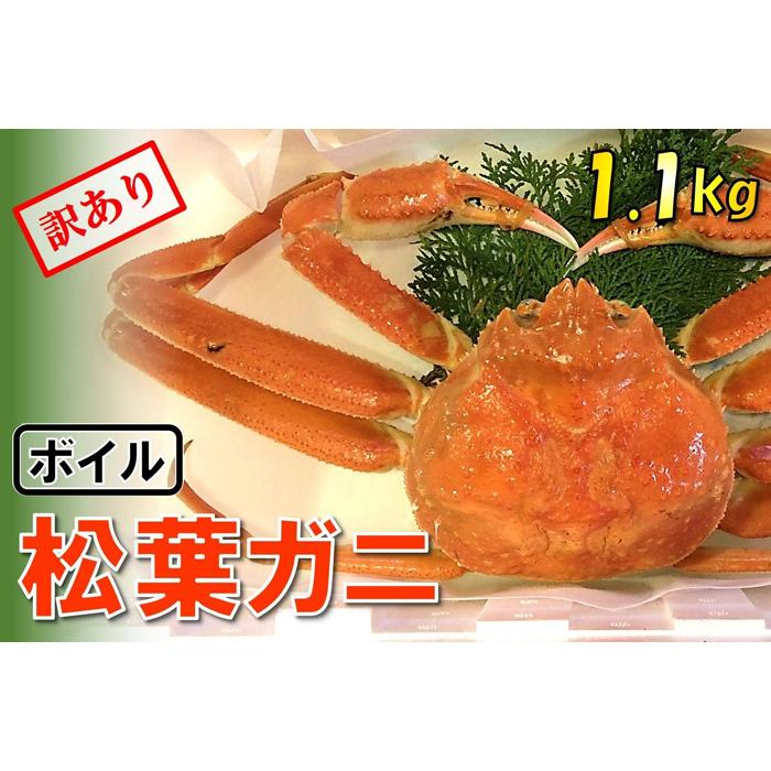 【魚倉】足1本なしボイル松葉ガニ (特特大1,100g) 訳あり鳥取県鳥取市109000魚介・海産物カニ