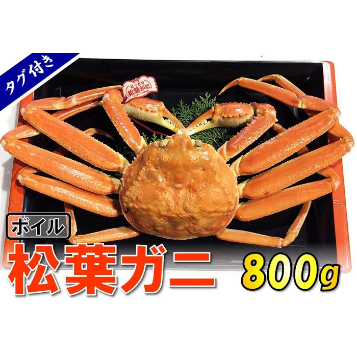 yqz^Ot{CtKj (800g)挧s84000ECYJj