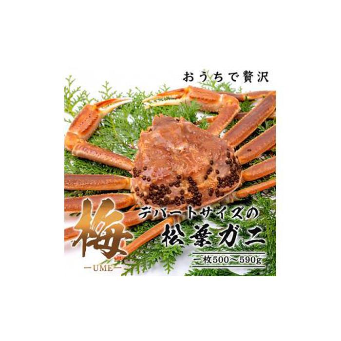 【梅】極選松葉ガニ (ボイル) 500g級 ブランドタグ付(さんチョク)鳥取県鳥取市72000魚介・海産物カニ