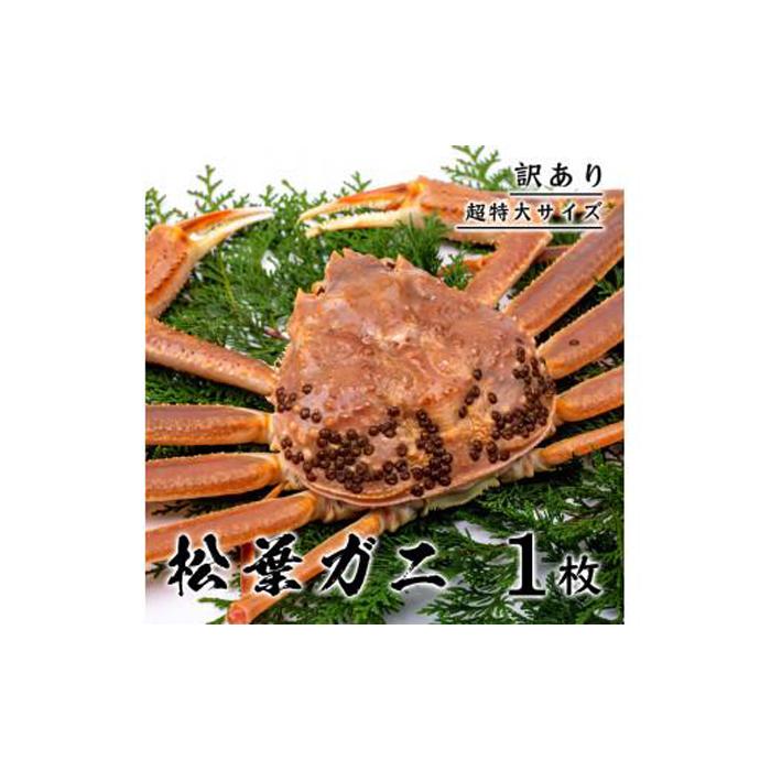 【訳あり】 松葉ガニ(ボイル) 1kg 級 超特大サイズ(さんチョク)鳥取県鳥取市104000魚介・海産物カニ