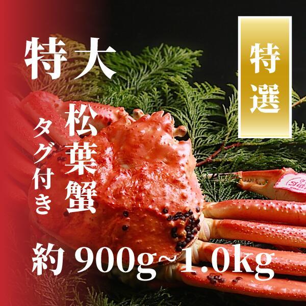 【特選】松葉ガニ 特大サイズ 約900g〜1kg タグ付(茹で)鳥取県鳥取市133000魚介・海産物カニ
