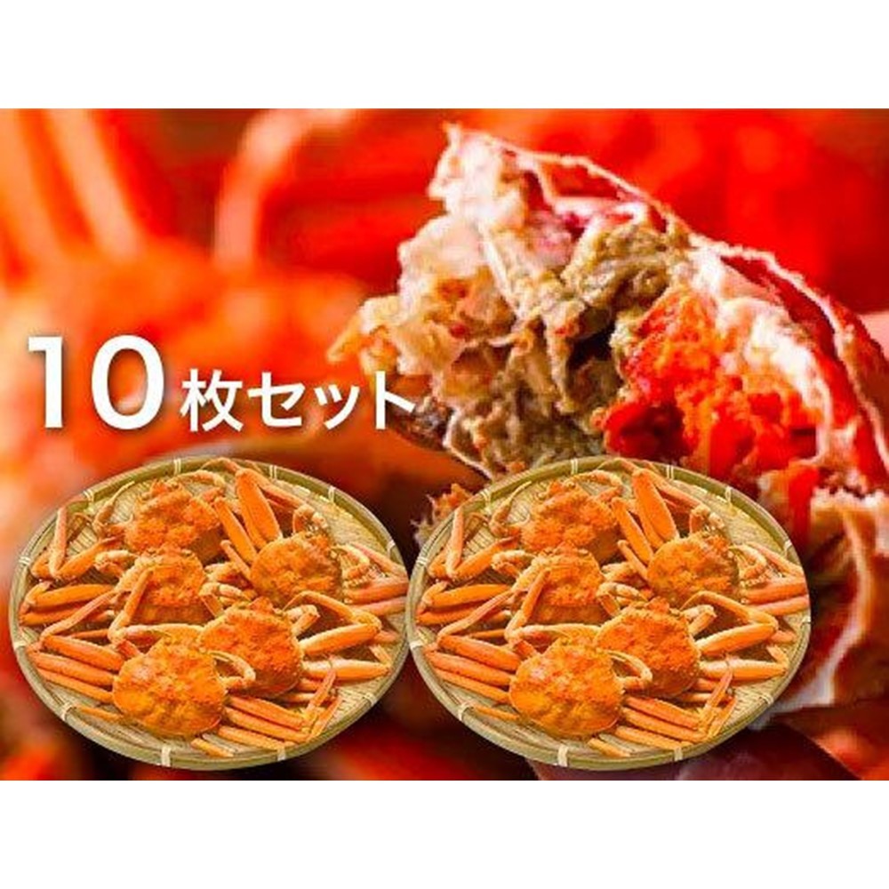 【特選】親がに(せこがに) 10枚セット (浜茹)鳥取県鳥取市61000魚介・海産物カニ