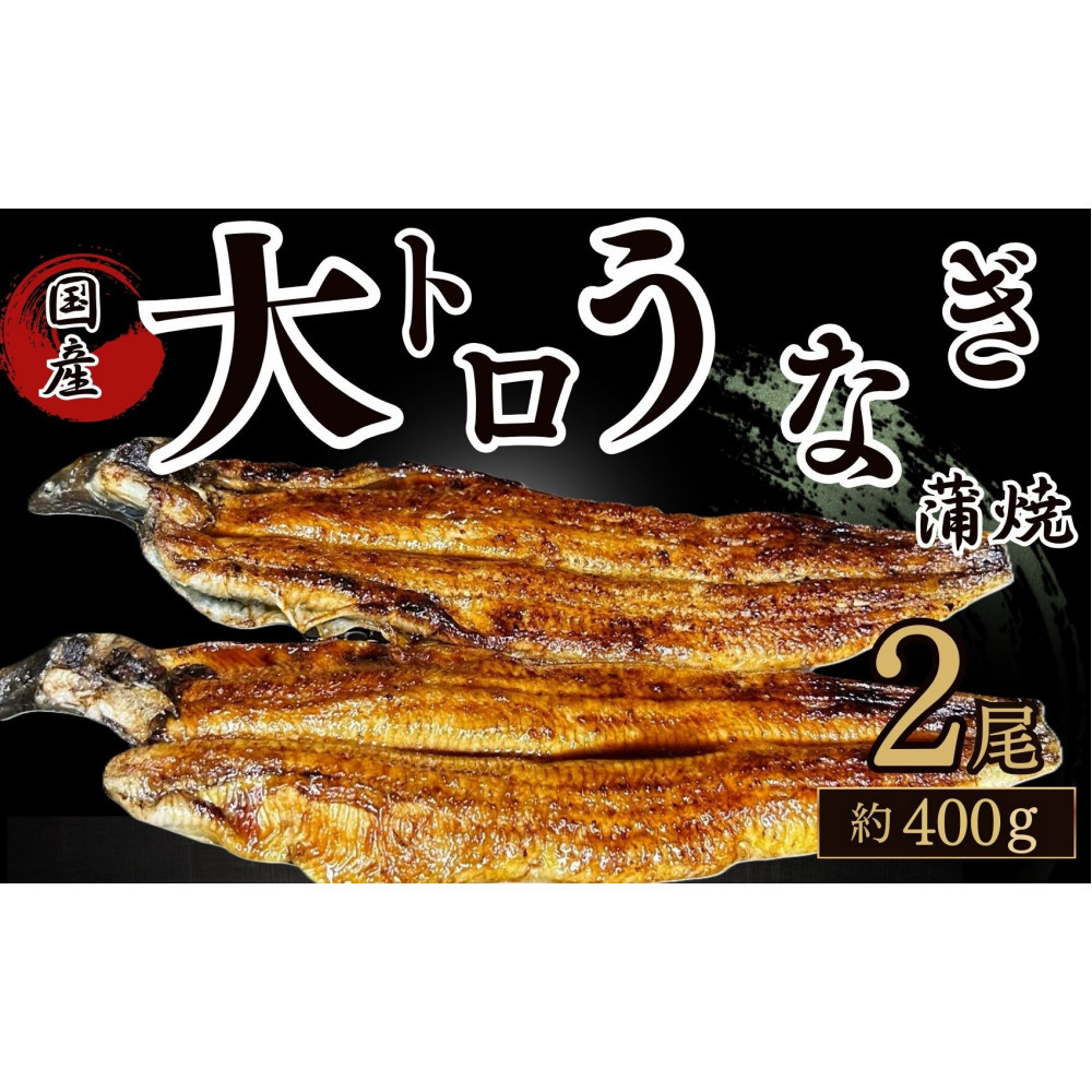 30年間継承されてきた秘伝のタレで焼き上げたうなぎの蒲焼き鳥取県鳥取市24000魚介・海産物うなぎ