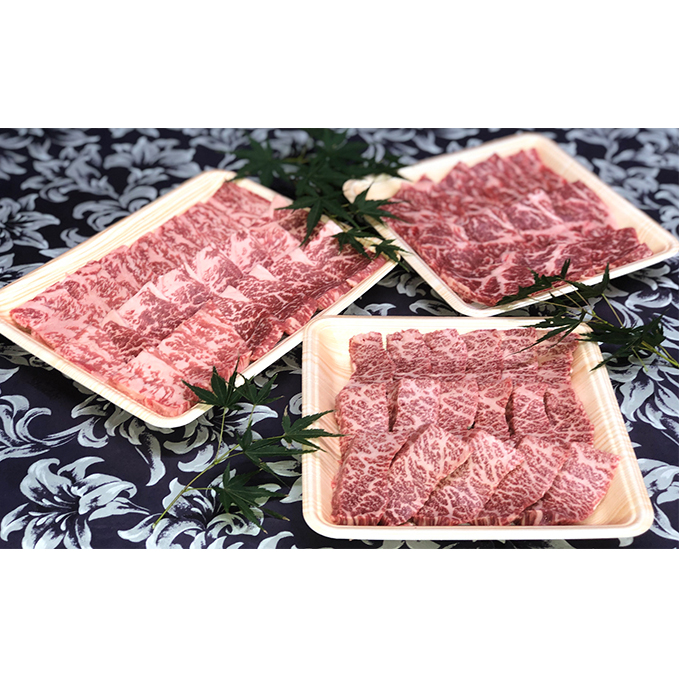福井県のブランド牛 若狭牛 焼肉セット 【 牛ロース 牛モモ 牛バラ 】 お肉 牛肉 福井県おおい町57000肉牛肉