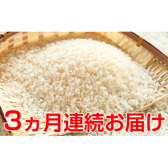 新米!【3ヶ月連続】特別栽培米コシヒカリ 5kg福井県おおい町35000米・パン白米