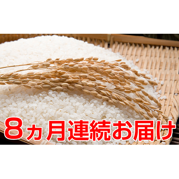 新米!【8ヶ月連続】つきたて自家製精米 減農薬コシヒカリ 5kg福井県おおい町85000米・パン白米
