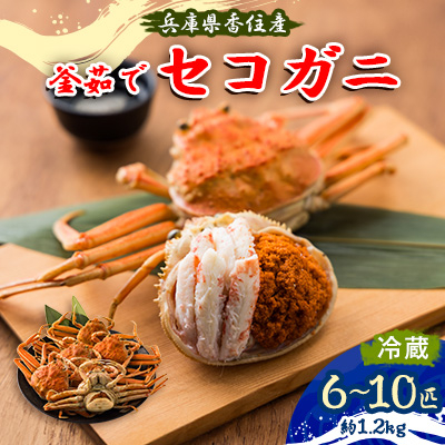 ɌZY@䥂ŃZRKj6`10C(1.2kg)y11{ȍ~zyzsnFEkCEEkE֓EBzy1091752zɌ{s40000ECYJj
