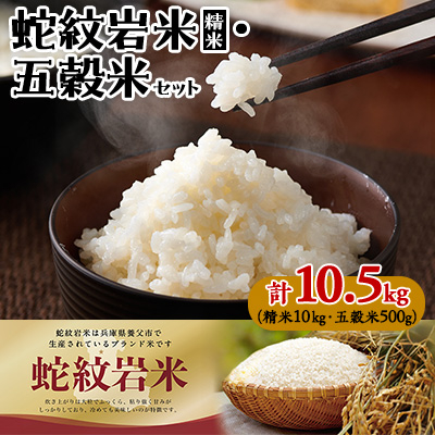 令和7年産養父市の希少米 蛇紋岩米 10kg     五穀米(蛇紋岩米使用)セット【1312497】兵庫県養父市45000米・パン白米