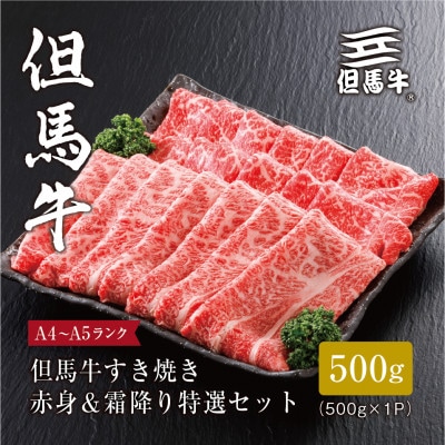 【但馬牛】すき焼き 赤身&霜降り 特選セット500g【配送不可地域:離島】【1313137】兵庫県養父市22000肉牛肉