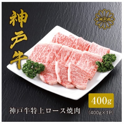 y_ˋz ネ[Xē400g(MtgɊϔdl)yzsnFzy1313382zɌ{s80000