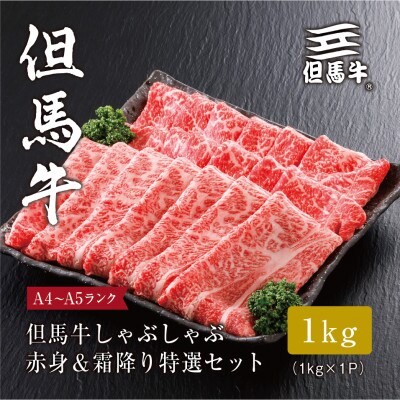 【但馬牛】 しゃぶしゃぶ 赤身&霜降り 特選セット1kg【配送不可地域:離島】【1313390】兵庫県養父市44000肉牛肉