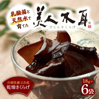 乳酸菌で育てた美人木耳(乾燥)【1355143】兵庫県養父市15000野菜・きのこきのこ
