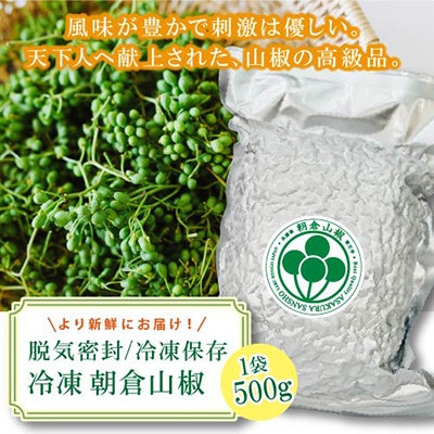 朝倉山椒 兵庫県養父市産 冷凍 500g【配送不可地域:離島】【1409907】兵庫県養父市20000野菜・きのこその他 野菜