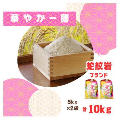 令和7年産新米・2025年10月以降発送【蛇紋岩ブランド 華やか一膳10kg】【1450994】兵庫県養父市26000米・パン白米