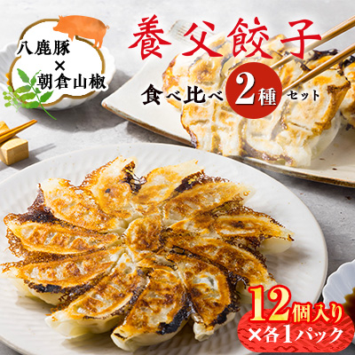 【特産品・八鹿豚×朝倉山椒がコラボ】養父餃子食べ比べセット(冷凍24個)/12個入り1パック×2【配送不可地域:離島】【1476004】兵庫県養父市12000鍋セット・総菜・加工食品総菜