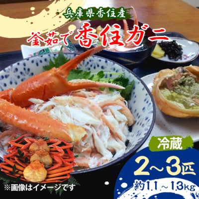 兵庫県香住産 釜茹で香住ガニ(紅ズワイガニ)2〜3匹入り(約1.1〜1.3kg)【9月中旬以降発送】【配送不可地域:離島・北海道・沖縄・東北・九州】【1512434】兵庫県養父市20000魚介・海産物カニ