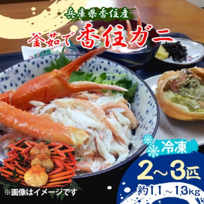 兵庫県香住産 釜茹で香住ガニ 2〜3匹入り(約1.1〜1.3kg)〈冷凍〉【9月中旬以降発送】【配送不可地域:離島】【1512435】兵庫県養父市20000魚介・海産物カニ