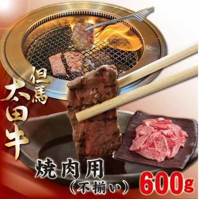 訳あり 但馬 太田牛 焼肉用(切り落とし) 600g OY1【配送不可地域:離島】【1551652】兵庫県養父市11000肉牛肉