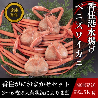 香住がに おまかせセット 約2.5kg(3〜6枚)【配送不可地域:離島】【1606120】兵庫県養父市35000魚介・海産物カニ