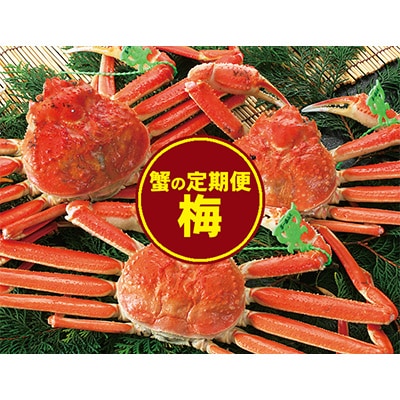 【発送月固定定期便】カニの定期便(梅)<冷凍発送>全3回【配送不可地域:離島】【4002718】兵庫県養父市100000魚介・海産物カニ