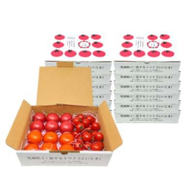 【2週間毎定期便】【こいとま】3種ミックス定期便〈シルバー〉コース全4回【4009561】兵庫県養父市68000野菜・きのこトマト