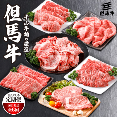 【毎月定期便】平山牛舗の厳選「但馬牛」おたのしみ(ギフトに嬉しい化粧箱仕様)全6回【配送不可地域:離島】【4056784】兵庫県養父市222000肉牛肉