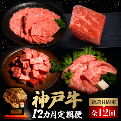 【発送月固定定期便】神戸牛12か月定期便全12回【配送不可地域:離島】【4064677】兵庫県養父市240000肉牛肉
