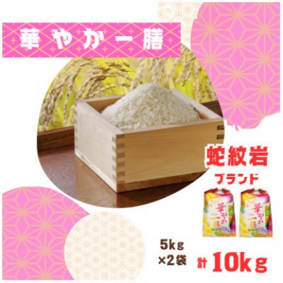 【毎月定期便】蛇紋岩ブランド 華やか一膳 10kg(5kg×2)全12回【4071010】兵庫県養父市320000米・パン白米