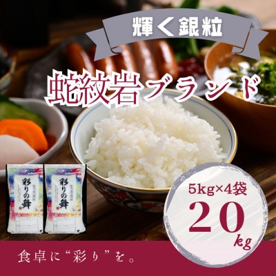 【毎月定期便】蛇紋岩銀粒 彩りの舞 20kg(5kg×4)全12回【4071015】兵庫県養父市640000米・パン白米