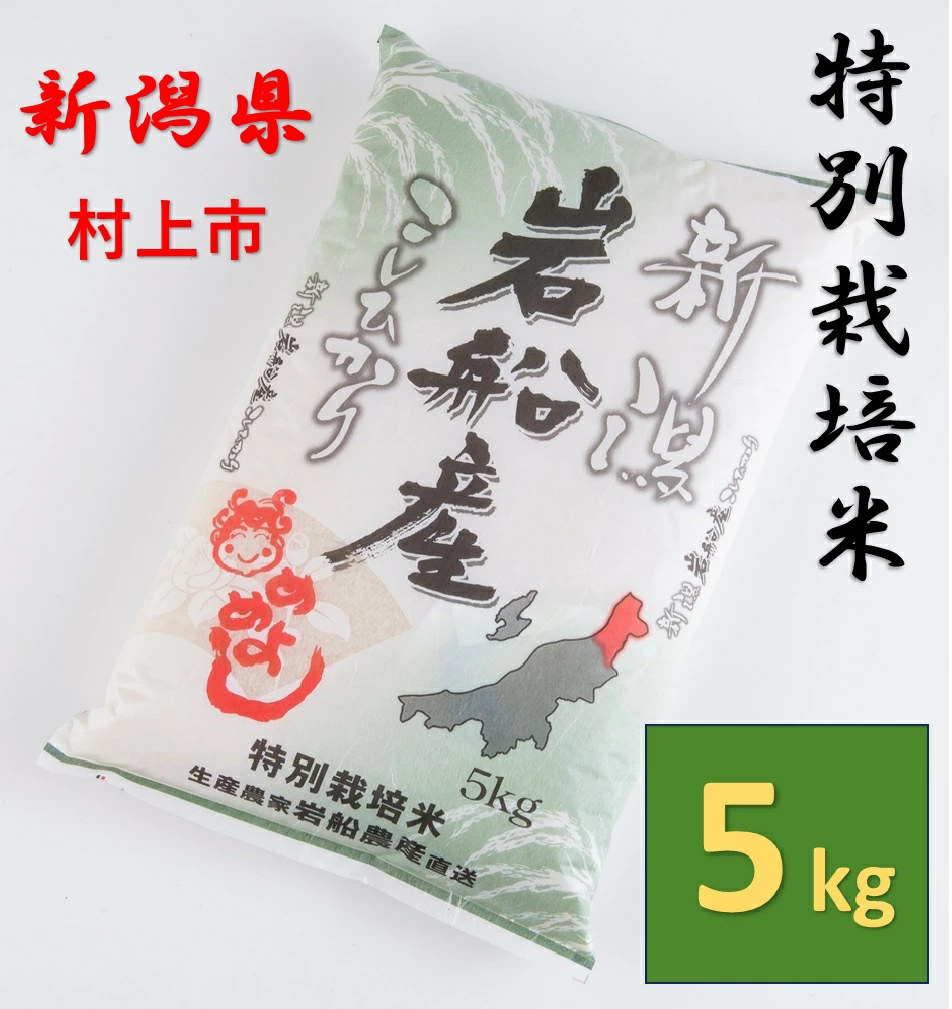 【新米受付・令和7年産米】特別栽培米  岩船産 コシヒカリ5kg 1013005N 米 白米 精米 お米新潟県村上市14000米・パン白米