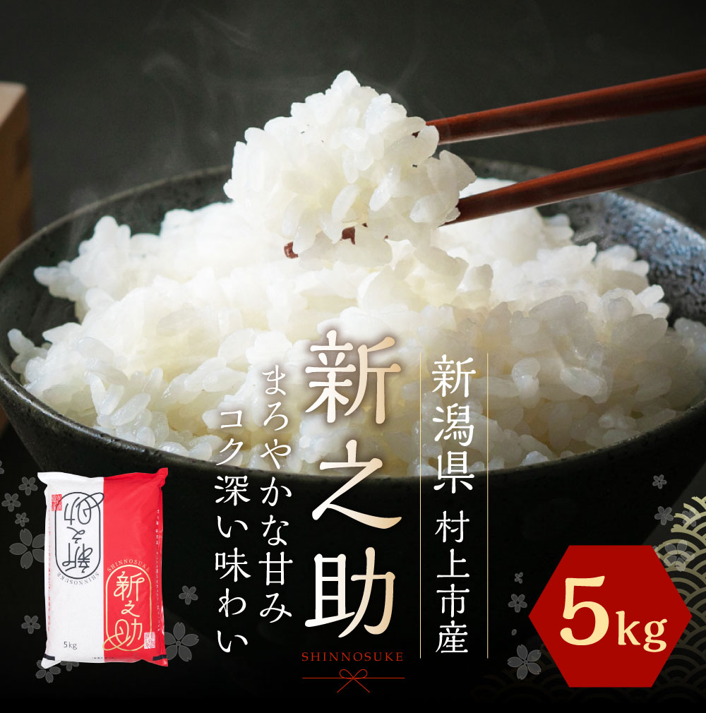 【令和6年産米】村上市産 新之助 5kg 1027009新潟県村上市15000米・パン白米