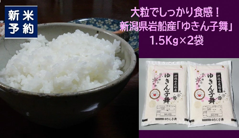 yVĎtEߘa7NYāz嗱łH VsDY 䂫q 3kgi1.5kg×2܁j 1039042N  V D 䂫q ꓙ _ƒ  ቷqɕۊ Vk_YV
