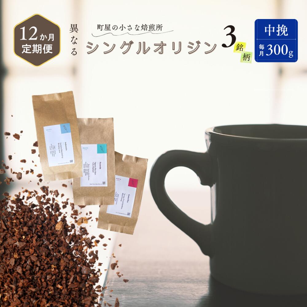 yցF12Ał͂zVOIWR[q[ 100g × 3ii҂jv300g×12 1075018 R[q[  Vs169000ER[q[Eg