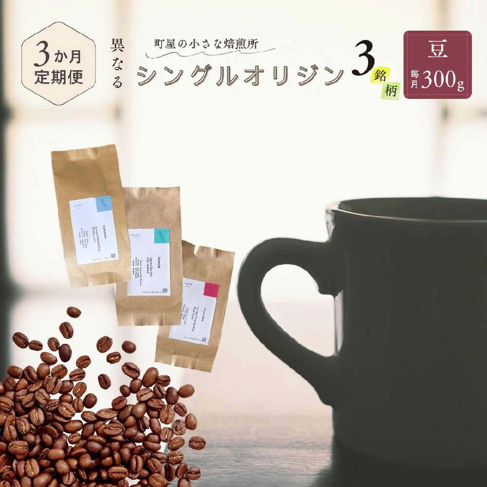 yցF3Ał͂zVOIWR[q[ 100g × 3iijv300g×3 1075021 R[q[  R[q[Vs43000ER[q[Eg