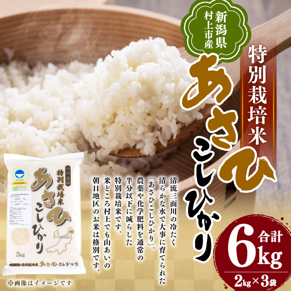 A4033 【令和6年産米】新潟県村上市産 特別栽培米 コシヒカリ 6kg 米 お米新潟県村上市19000米・パン白米