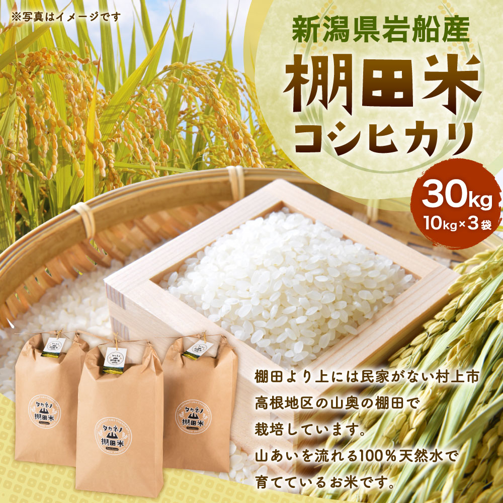 yߘa7NYāzVs DY Ic RVqJ 30kgi10kg×3j@D4016Vs104000āEp