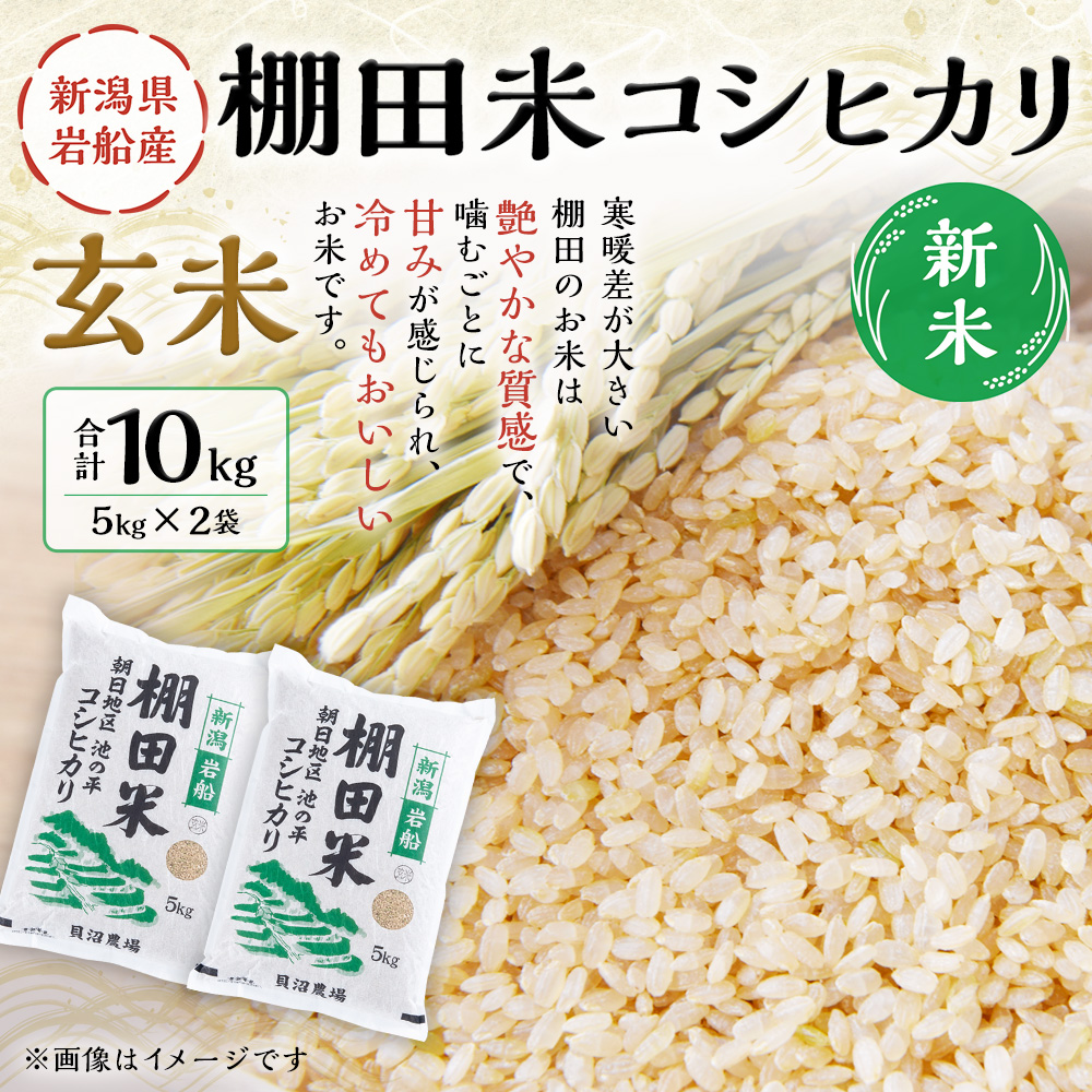 【新米受付・令和7年産米】新潟県村上市岩船産 棚田米 コシヒカリ 玄米 10kg NAB4041新潟県村上市32000米・パン玄米・雑穀米・もち米・餅
